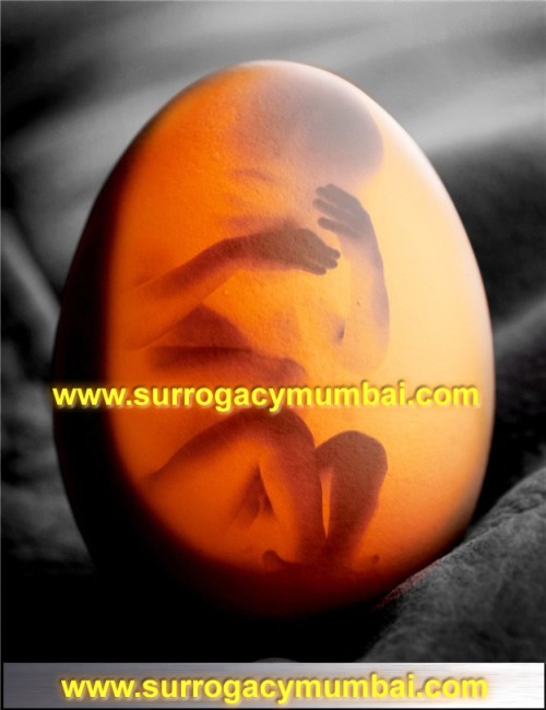 Surrogate Mothers in India - Outsourcing Surrogacy to India